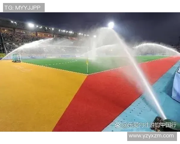 专访滑板女王赵娜揭秘她成功背后的秘密与坚持