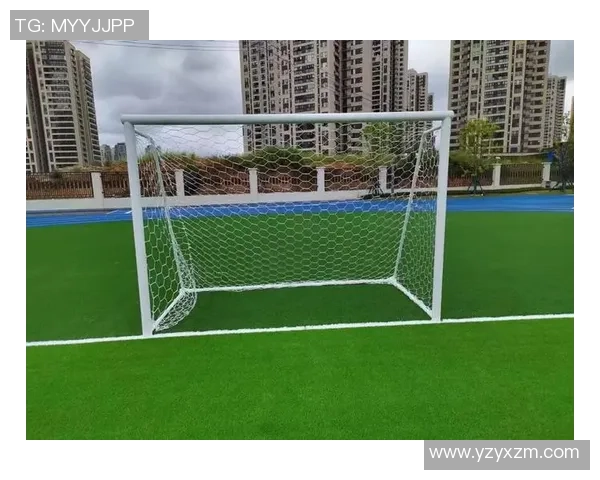 武鸣足球门的崛起与发展探秘：见证地方足球文化的蓬勃生机