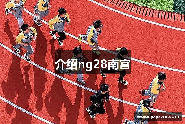 介绍ng28南宫